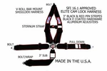 Rjs Sfi 16.1 Elite 4 Point Cam Lock Racing Harness Belt Black Red Stripe 1099801 New. Price: $291.49.