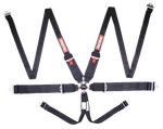 746006RQP Racequip Camlock Point Hans Harness Set New. Price: $245.95.