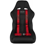 Braum Red Point 2 Inch Strap Racing Harness BRH-RDP4 Single New. Price: $109.99.