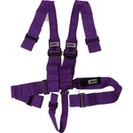 Crow 20056PRB Pro Series Racing Harness, 3 Inch, Gray New. Price: $219.99.
