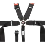 Racequip 741021RQP Camlock 5 Point Racing Harness, 3 Inch, Blue New. Price: $204.95.
