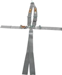 Rci Harness System 5/6PT P/d L/l V-type Platinum New. Price: $130.07.