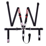 841001RQP Racequip Camlock 5 Point Harness Set New. Price: $209.95.