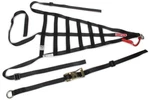 Simpson Safety Driver Net Corvette Left Poly 28IN X 15-3/4 DNC5RRP New. Price: $182.87.