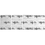 1947-55 Chevrolet Gmc Truck; 1ST Series; Standard Cab; Wall Insulation & New. Price: $104.99.