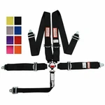 Racerdirect 5 Pt 3" Sfi 16.1 Cam Lock Racing Harness Floor Mount Any Color New. Price: $130.99.