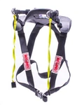 Simpson Safety HSCHD11SAS Racing Hybrid Youth Sport New. Price: $670.24.