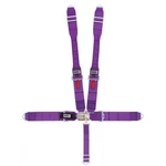 Crow Enterprizes 11005DB 5-POINT Latch And Link Racing Harness Purple New. Price: $196.14.