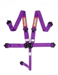 Racequip 711051RQP Point Harness Latch/link Sfi 16.1 Pull Down Adjust Purple New. Price: $137.95.