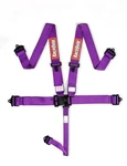 Racequip Latch & Link Point Harness Set 711051RQP New. Price: $140.01.
