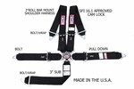 Rjs Sfi 16.1 Cam Lock 5 Pt Harness Roll Bar Mount Bolt In Black & All Hw New. Price: $168.99.