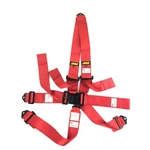 Jegs, Racing Harness Sfi 16.1 Certified, Safety Belt, Exp. Dec. 2020 New. Price: $59.95.