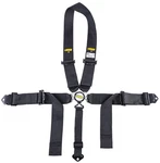 Jegs 70110 Black Cam Lock Ultra Series Harness 5-POINT Design Pull Up U-type New. Price: $146.99.