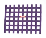 Racequip 721055RQP Window Net Webbing - 24 X 18 Rectangle Purple New. Price: $33.77.