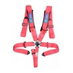 Nrg SBH-B6PCPK 5-POINT Sfi Seat Belt Harness Camlock Pink New. Price: $181.63.