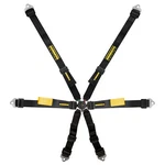 Schroth Enduro 6 Point Harness New. Price: $940.05.