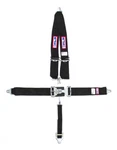 Rjs Safety #1125401 5-PT Harness System Bk Shoulder Mt 2IN Sub New. Price: $104.19.