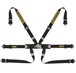 Fia Sabelt Formula Silver 6-POINT Safety Harness Belts Blue Red Black Rally Alu New. Price: $375.00.