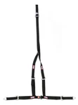 Rjs Safety #4000501 Buggy Belt Non-comp. New. Price: $74.41.