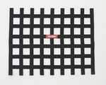 721005RQP Racequip Ribbon Style Car Window Net New. Price: $21.85.