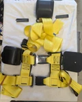 Protek Advanced Restraint System / ZA-6PT-3R-M110-29 New!. Price: $49.95.