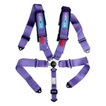 Nrg Innovations 5 Point Sfi Camlock Seat Belt Harness Pads, Purple New. Price: $157.68.