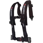 Beard Seats 4 Point 2-INCH Safety Harness 880-220-02 New. Price: $89.99.