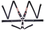 Racequip Camlock Point Hans Auto Racing Harness Set Pull-up Lap Sfi 16.1 Seat New. Price: $245.95.