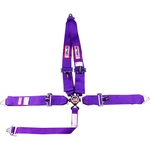 R.j.s. Safety Equipment 1029308 5-POINT Cam-lock Racing Harness Purple New. Price: $178.62.