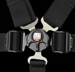 Simpson Racing 29110BKL1X L&l Harness - Camlock (lever) Sfi 16.1 55" Long New. Price: $306.95.