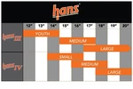 Hans H4L20PASFI Iv Restraint Large 20-DEG Post Anchor New. Price: $456.09.