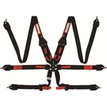 Racequip Rqp 6PT Camlock Harnesses 855005 New. Price: $281.95.