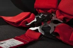 Braum Racing 5 Point 3" Sfi Approved Harness - Red Each New. Price: $179.99.