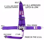 Rjs Sfi 16.1 Latch&link Bolt Harness Belt V Roll Bar Mount Purple Black Hw New. Price: $91.99.