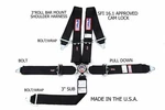 Rjs Sfi 16.1 Cam Lock Pt Racing Harness Roll Bar Mount Bolt Black 1032501 New. Price: $185.89.