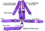 Rjs Racing Sfi 16.1 Cam Lock Pt Harness Roll Bar Mount Purple 1032508 New. Price: $185.89.